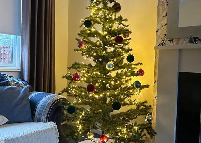 Entire 2 Bed 15 Mins And Airport Full Kitchen Newly Decorated Bedroom Vakantiehuis Dublin